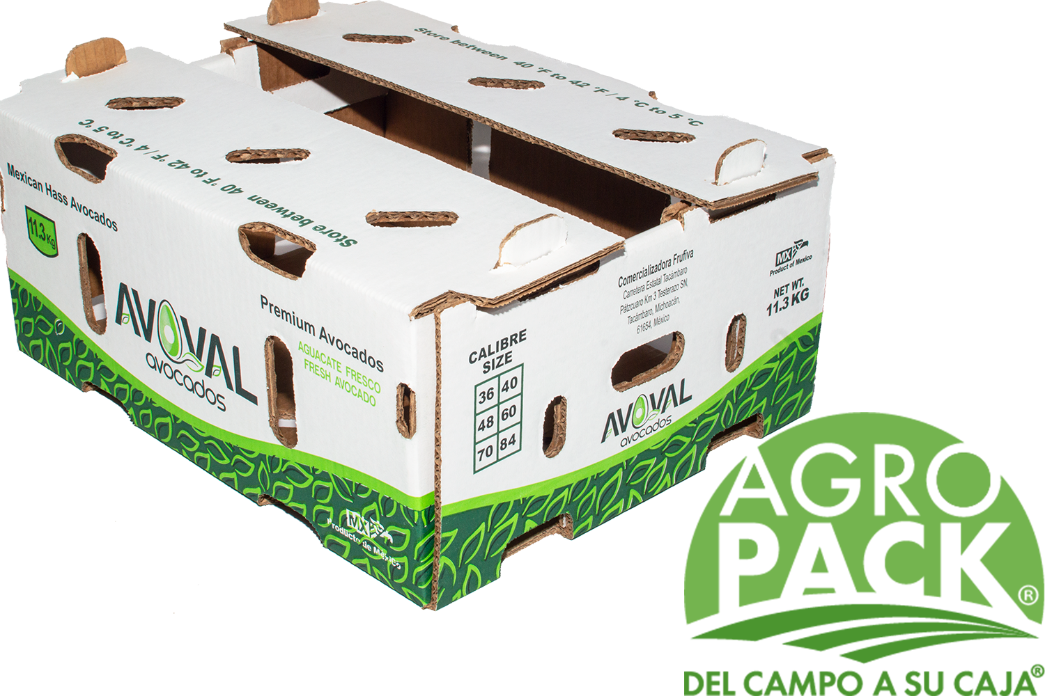 Caja de aguacate