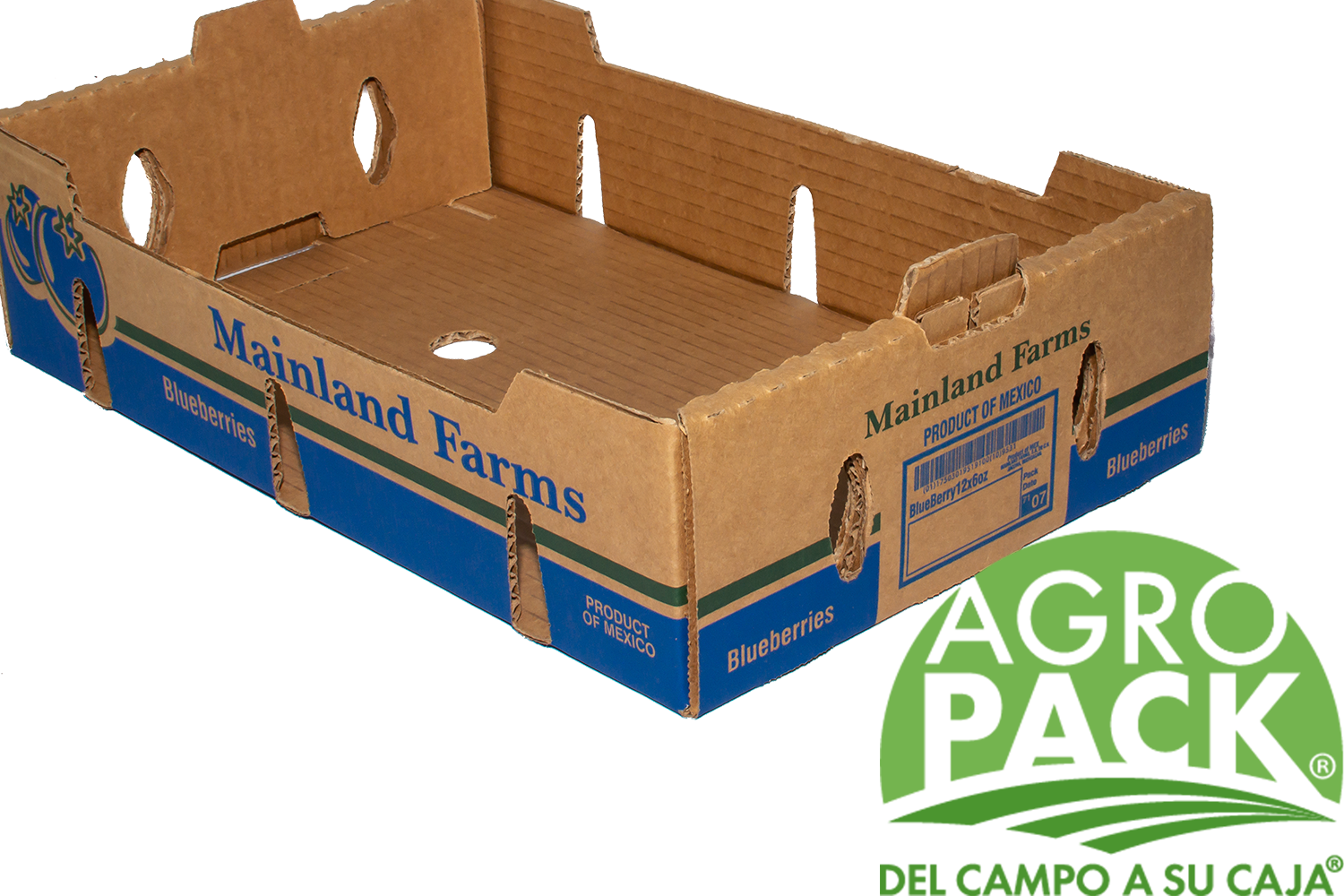 Caja de arandano