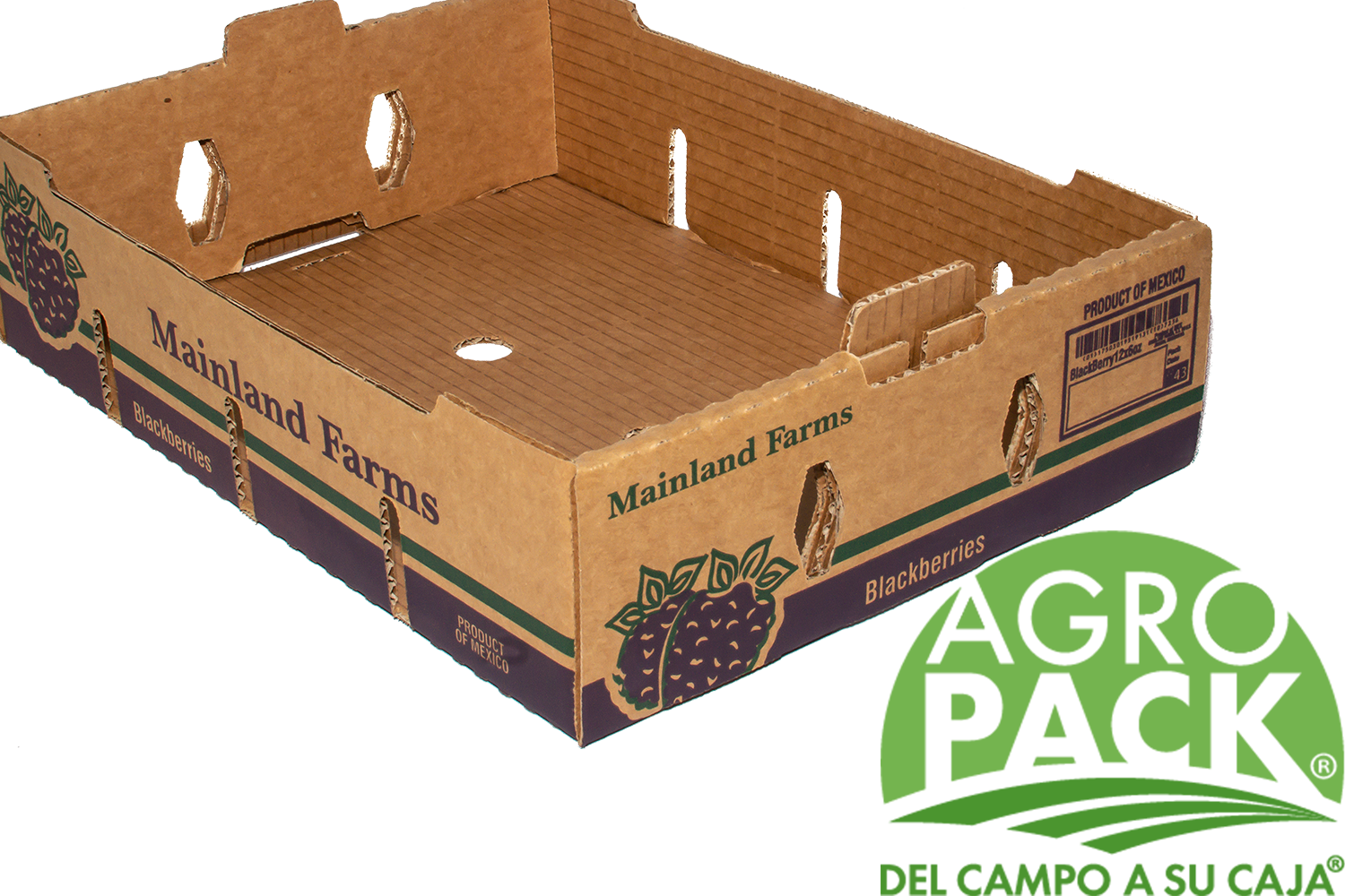 Caja de arandano