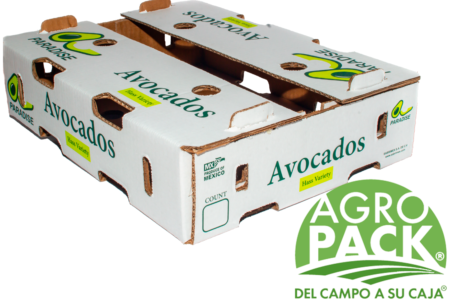 Caja de aguacate