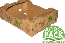 Caja de aguacate