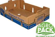 Caja de arandano