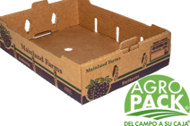 Caja de zarzamora