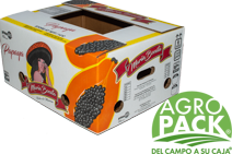 Caja de papaya