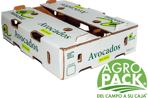 Caja de aguacate