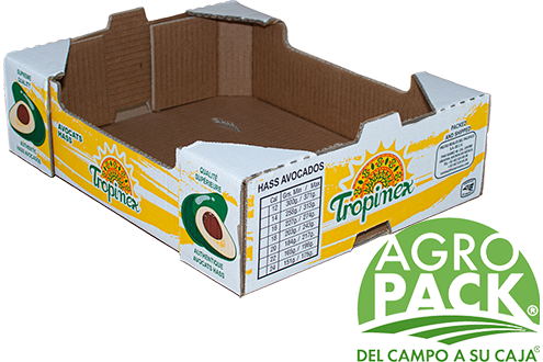 Caja de aguacate