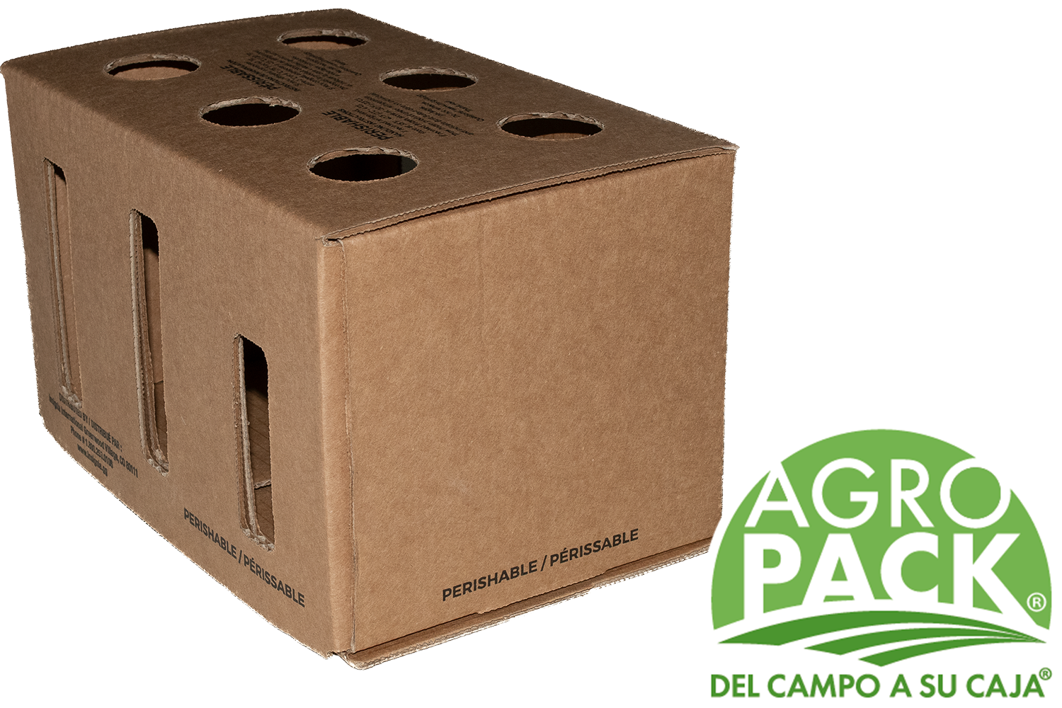 Caja de congelado