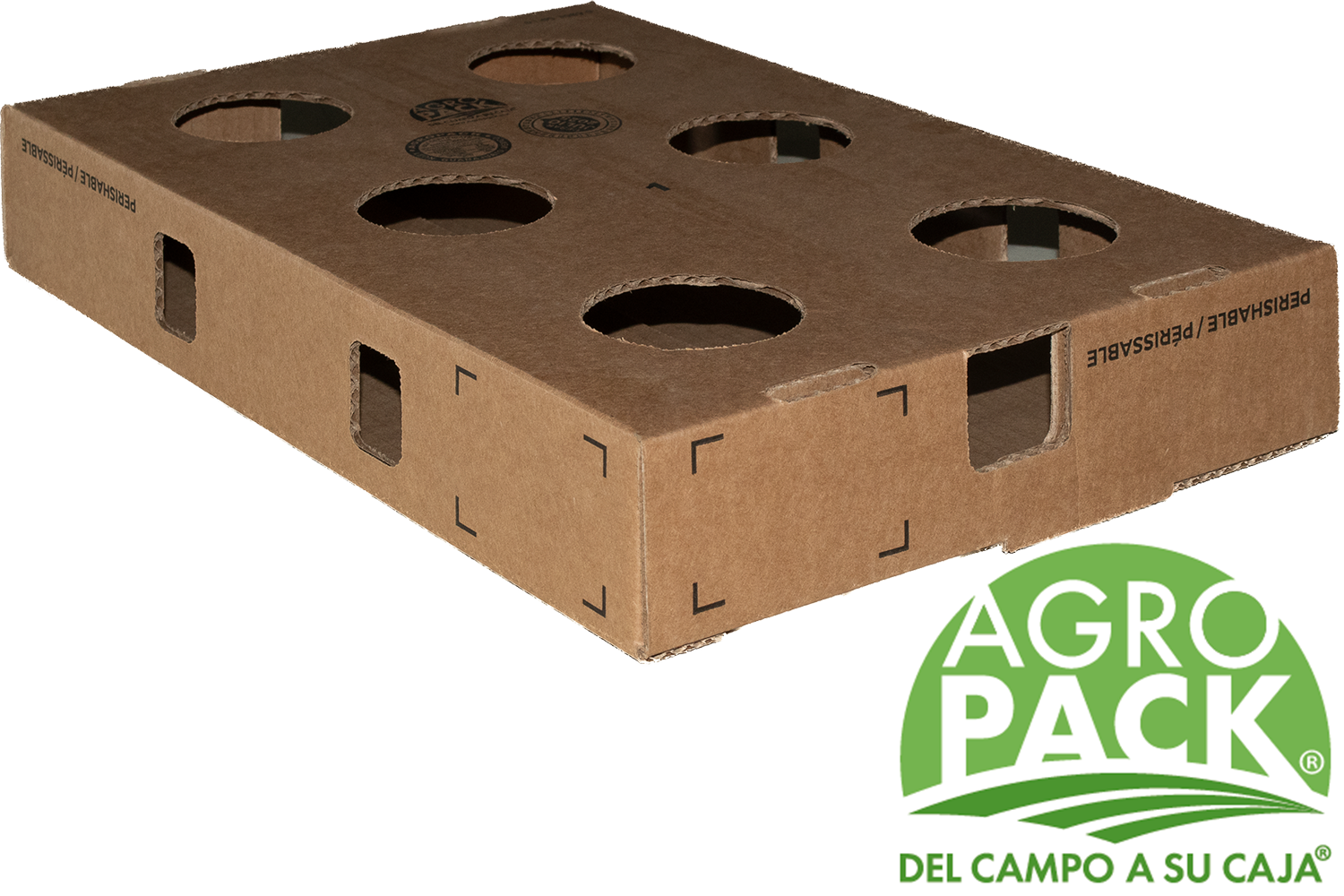 Caja de congelado