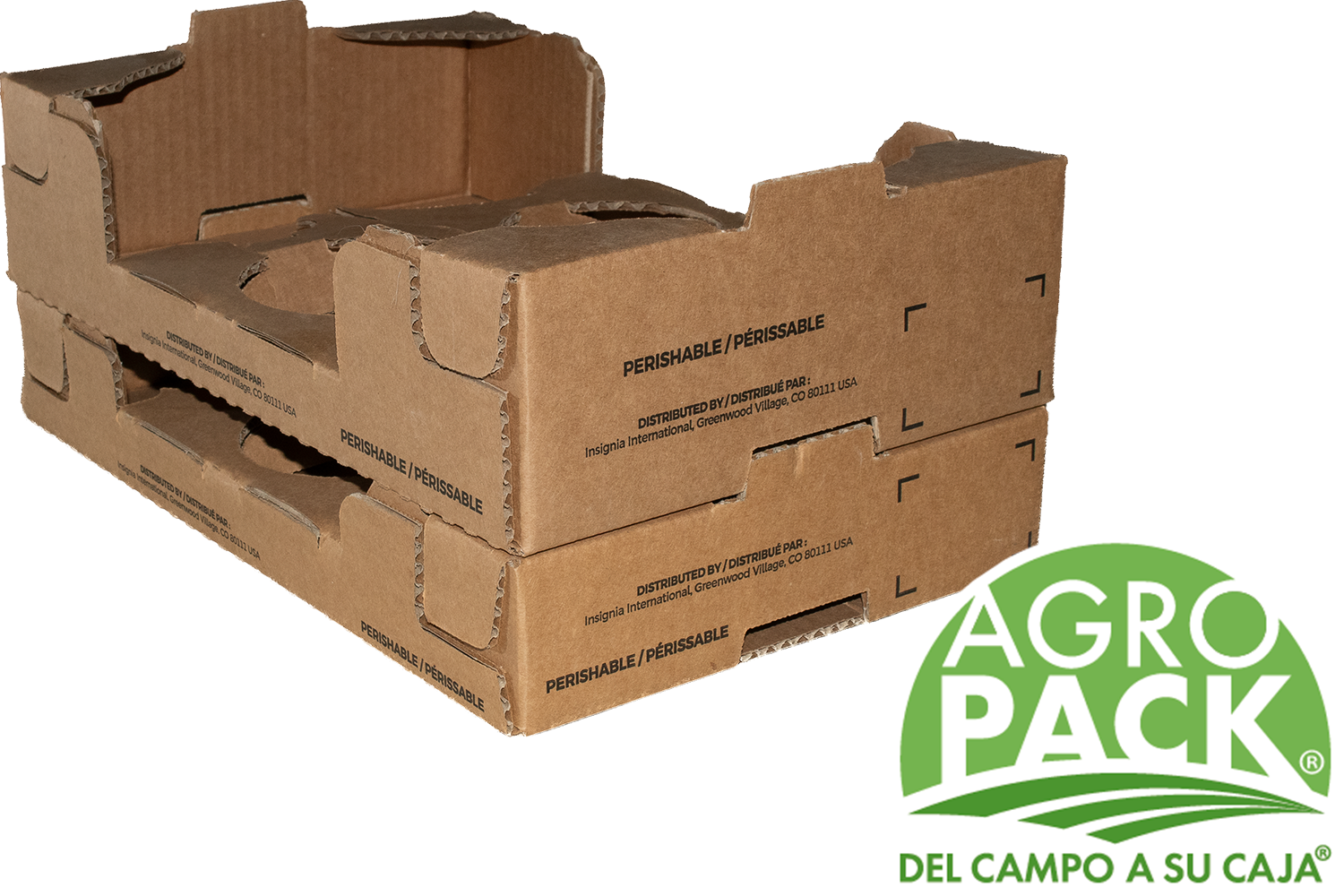Caja de congelado