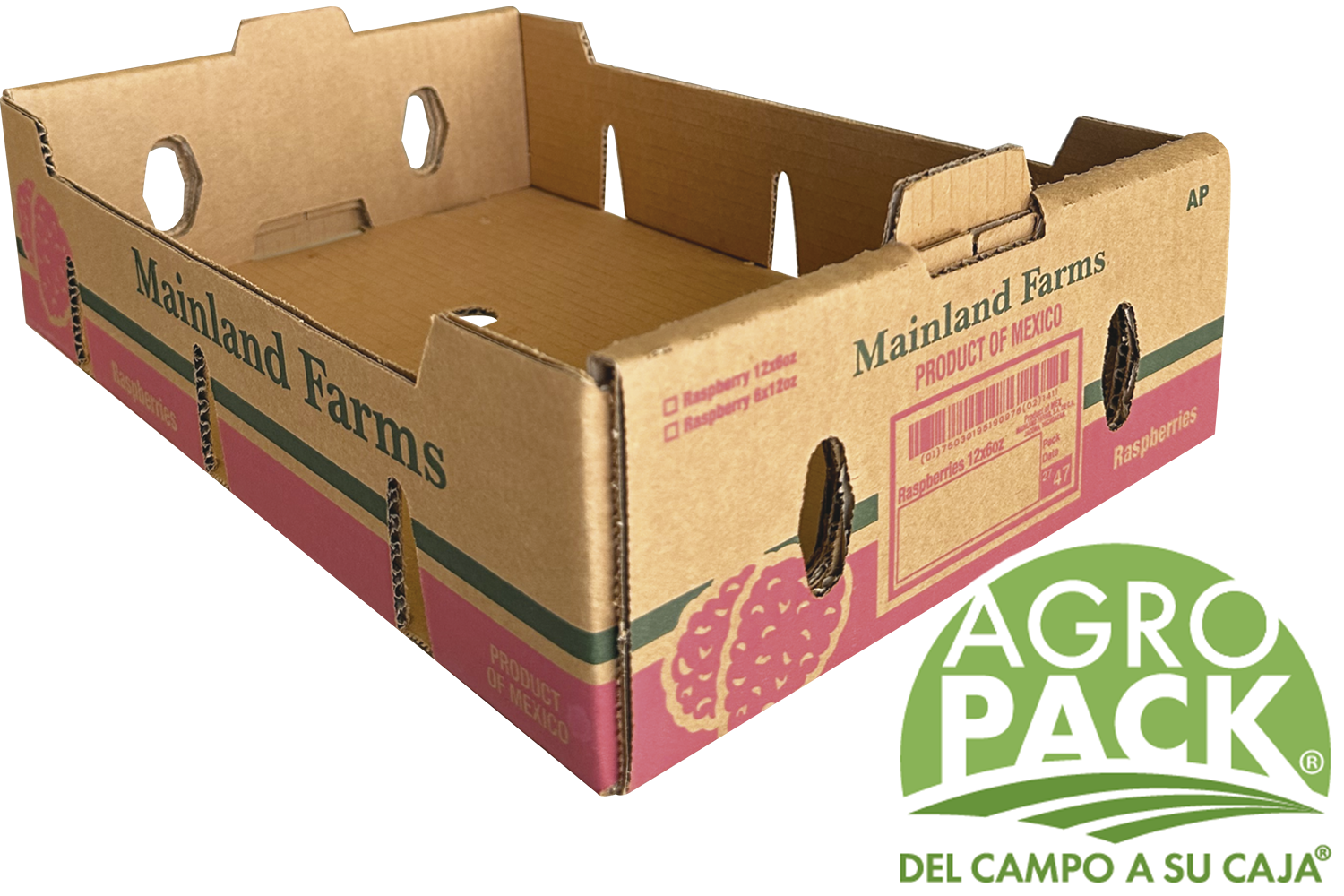 Caja de arandano