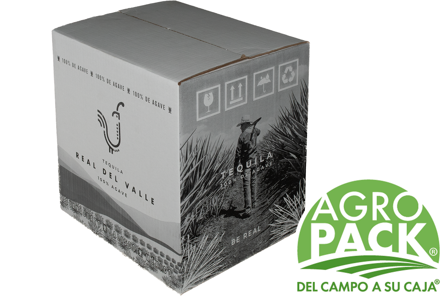 Caja de aguacate