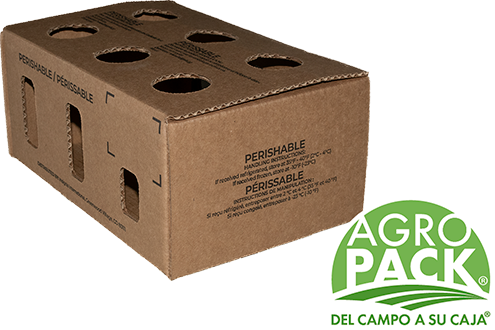 Caja de congelado