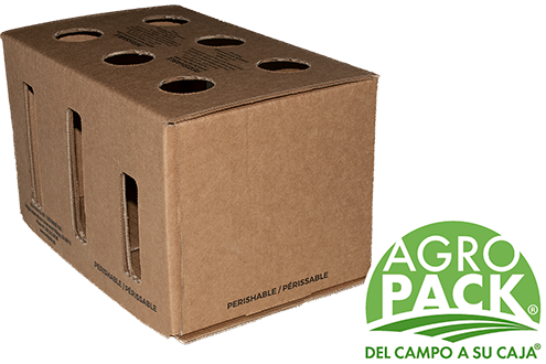 Caja de congelado