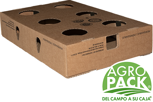 Caja de congelado