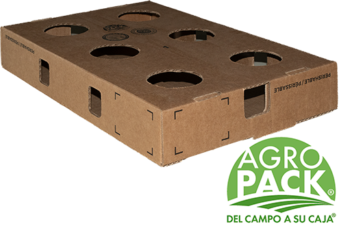 Caja de congelado