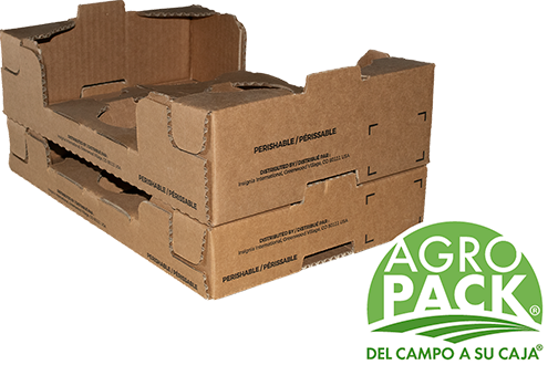 Caja de congelado