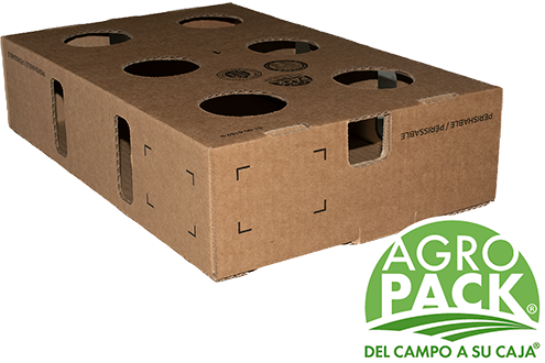 Caja de congelado