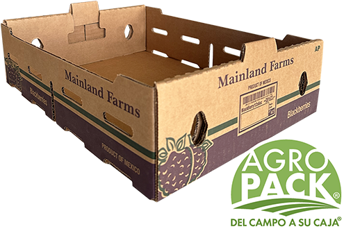 Caja de fresa