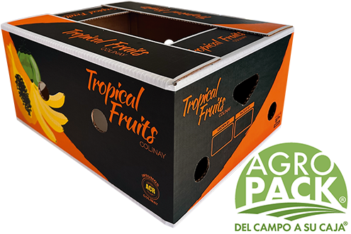 Caja de papaya